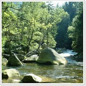 Waldschlosschen Bad Sachsa